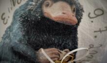 Vorsicht Niffler!