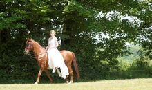 emotionaler Einzug zu 3 Nüsse für Aschenbrödel