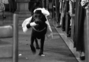 Trauung in alt-katholischer Kirche St. Willibrord, München