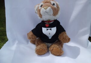 freie Trauung Pflugsmühle bei Abenberg