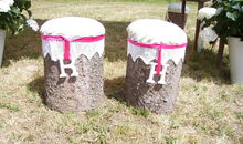 Bohohochzeit: Ort für freie Trauung mit Baumstumpf