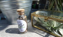 liebe feiern berghochzeit meckatzer sportalp