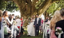 Unter einer riesigen uralten Platane direkt am Ufer des Bodensees gab sich das Paar das Ja-Wort.