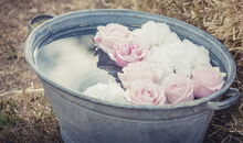 Boho Deko für freie Trauung